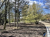 Trwa modernizacja parków na Piaskowej Górze [Foto]