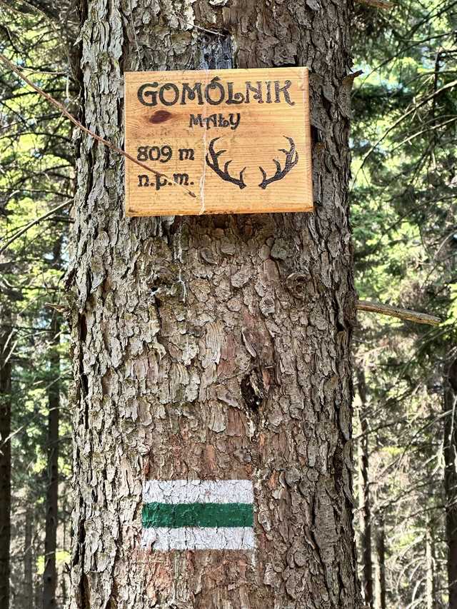 Mamy już oznaczone szlaki na Gomólnik Mały. Niedawno zakończono tu budowę tarasu widokowego [FOTO, MAPA]