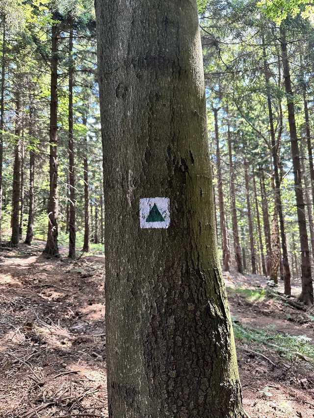 Mamy już oznaczone szlaki na Gomólnik Mały. Niedawno zakończono tu budowę tarasu widokowego [FOTO, MAPA]