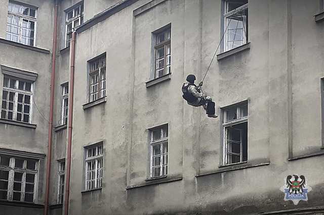grafika