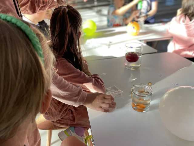 grafika
