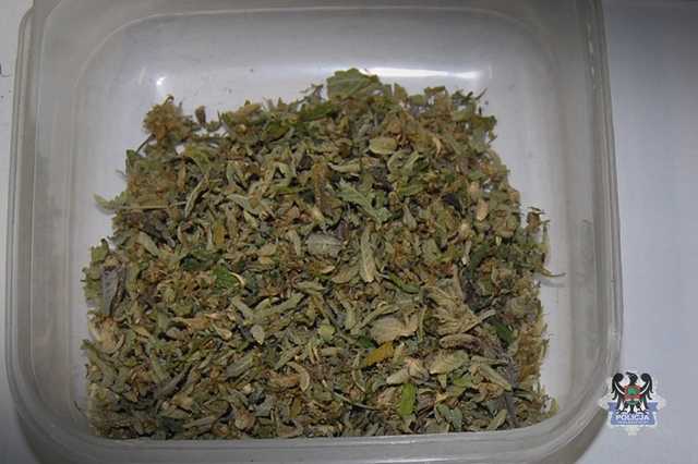 grafika