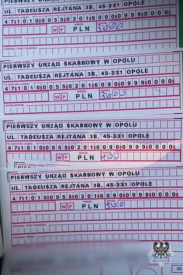 grafika 