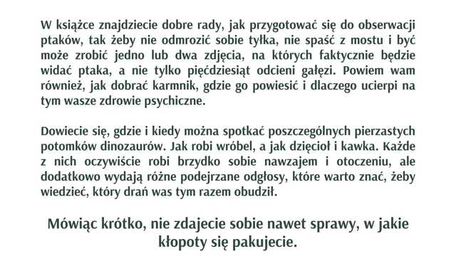 grafika 