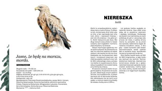 grafika 