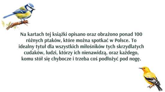 grafika 