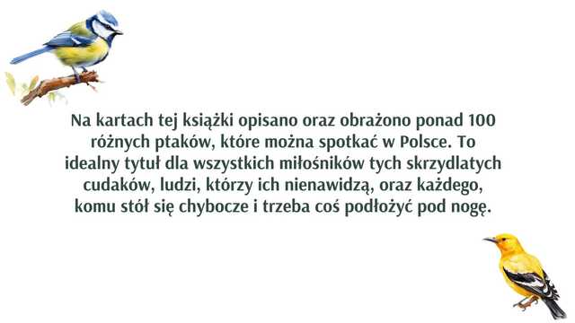 grafika 