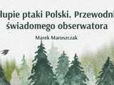 grafika 