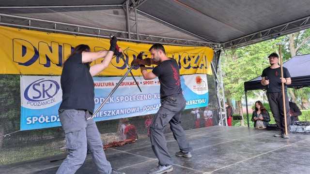 grafika 