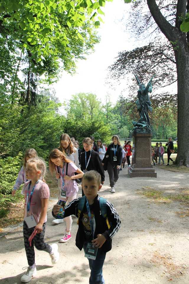 grafika 