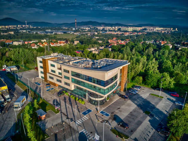grafika 