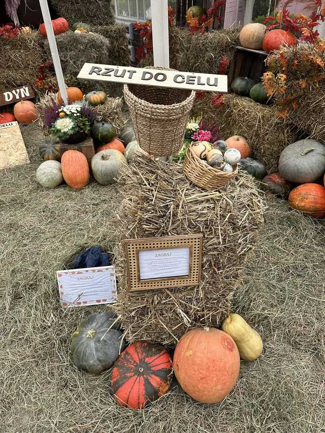 grafika 