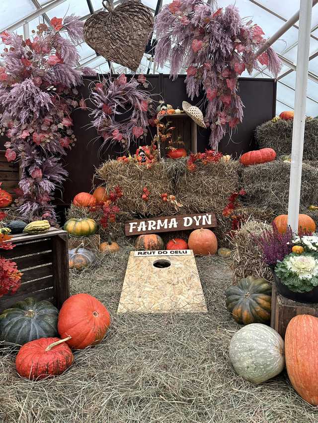 grafika 
