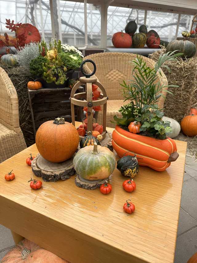 grafika 
