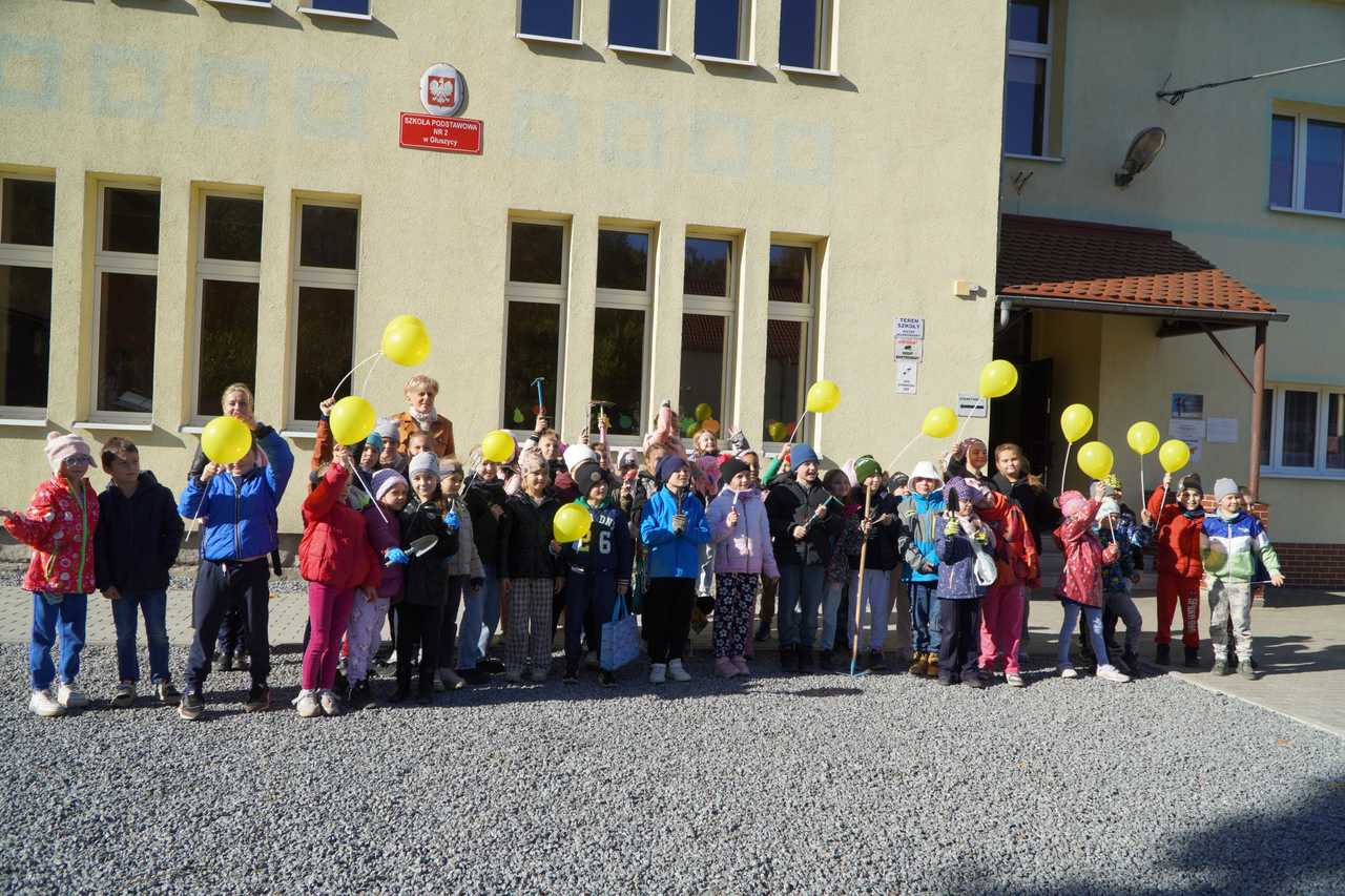 grafika