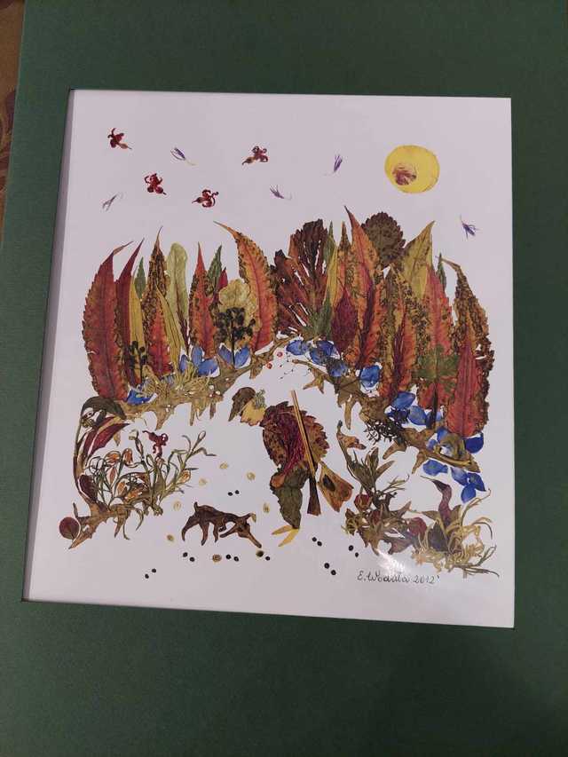 grafika