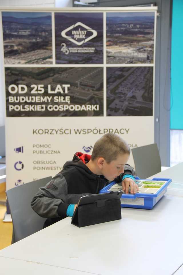 grafika 