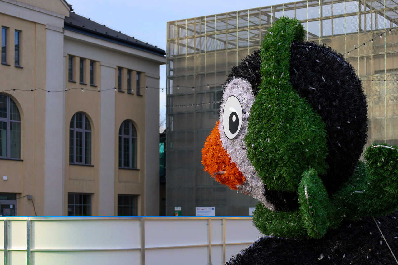 grafika