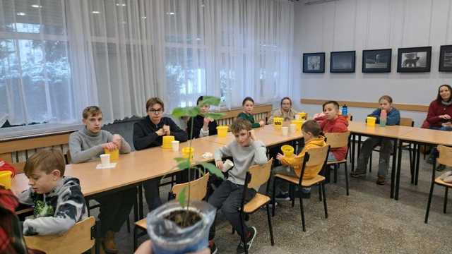 grafika