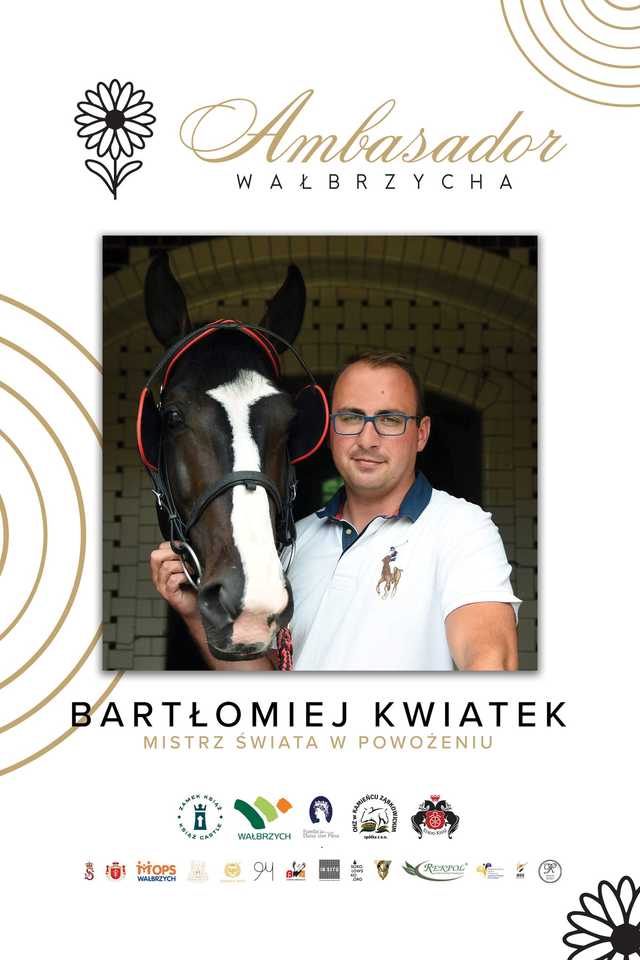grafika