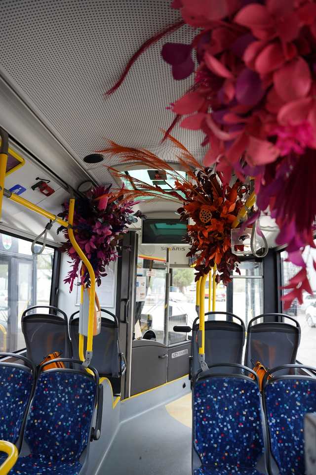 grafika