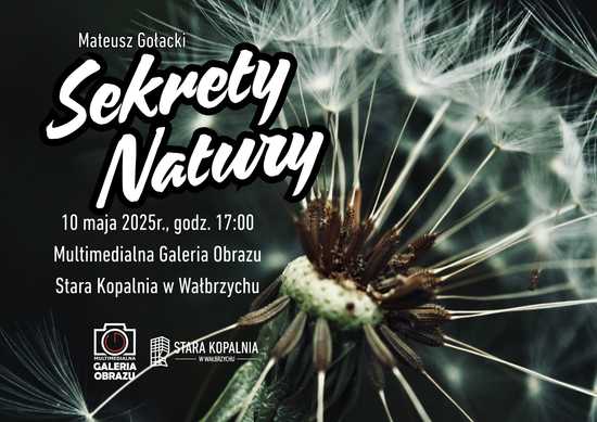grafika