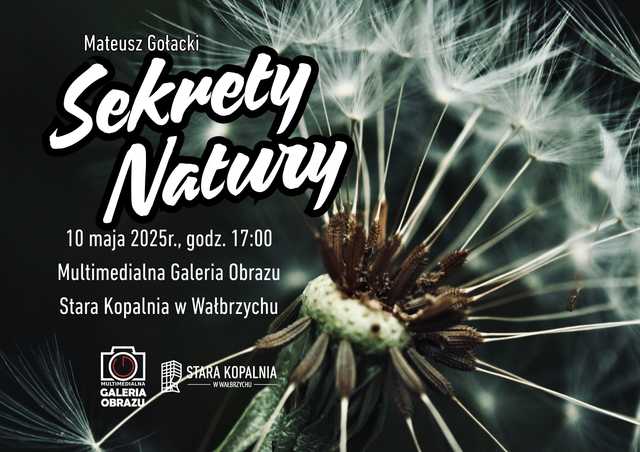 grafika