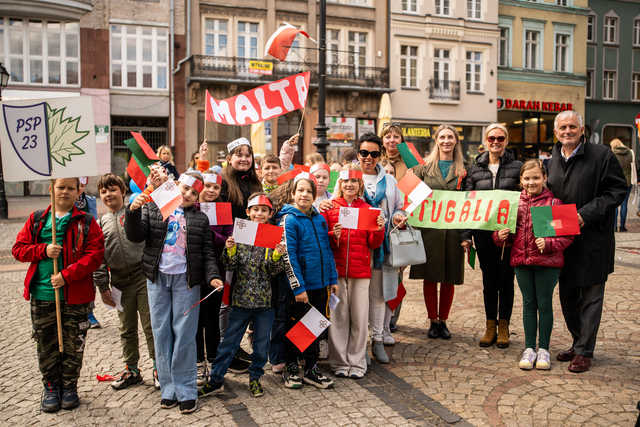 grafika