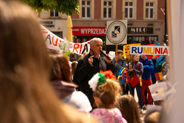 grafika