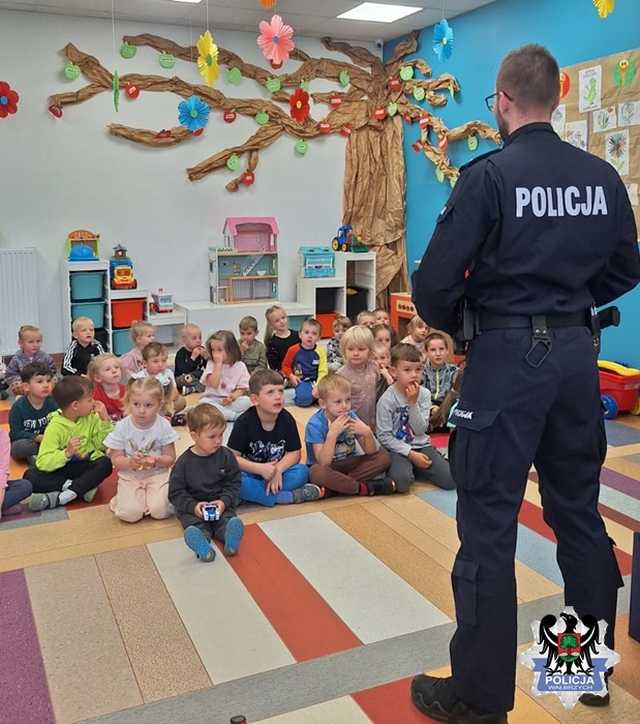 grafika