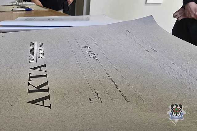 grafika