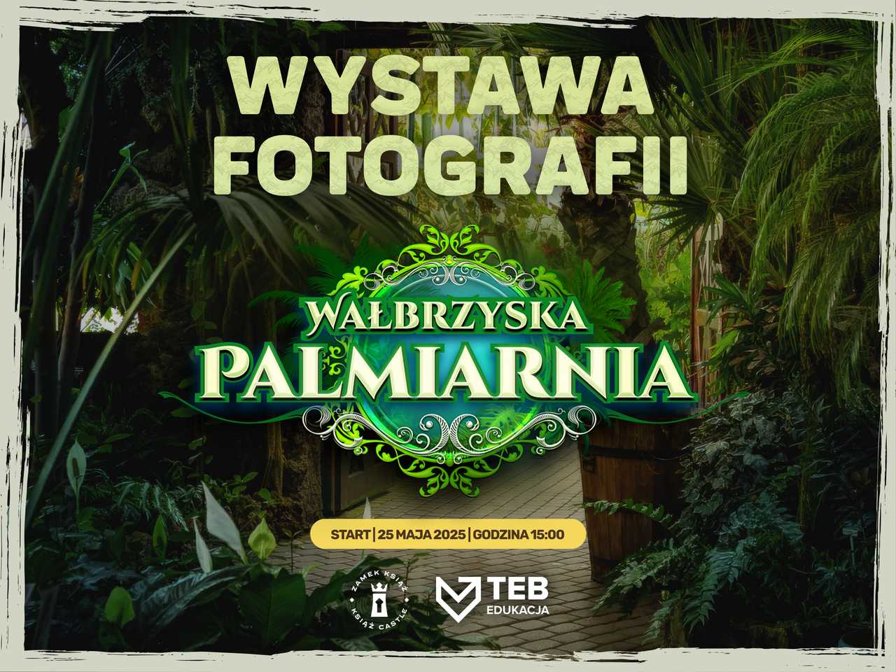 grafika