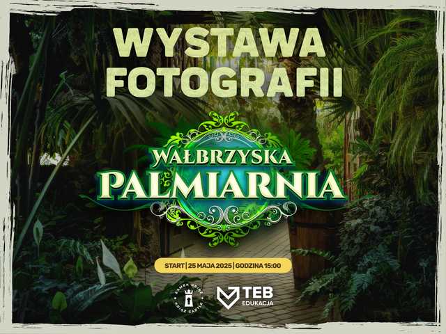 grafika