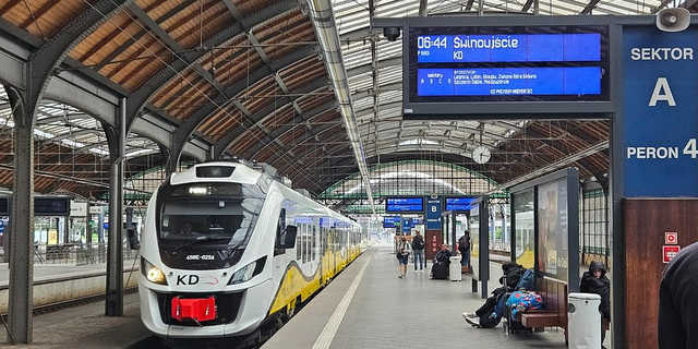 grafika
