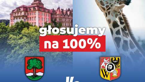 grafika