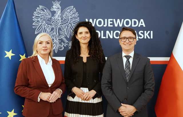 grafika