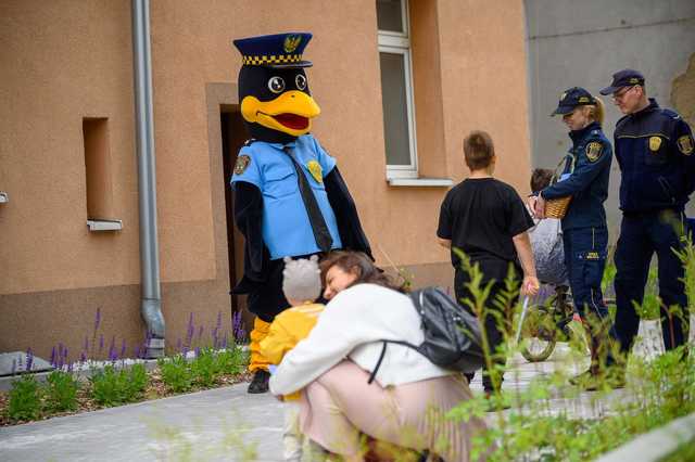 grafika