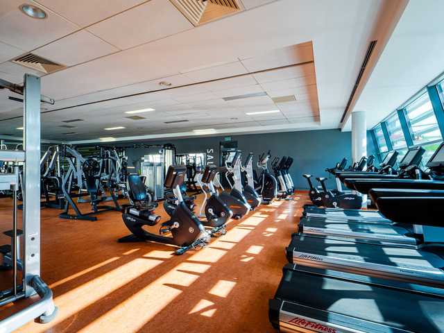 galeria