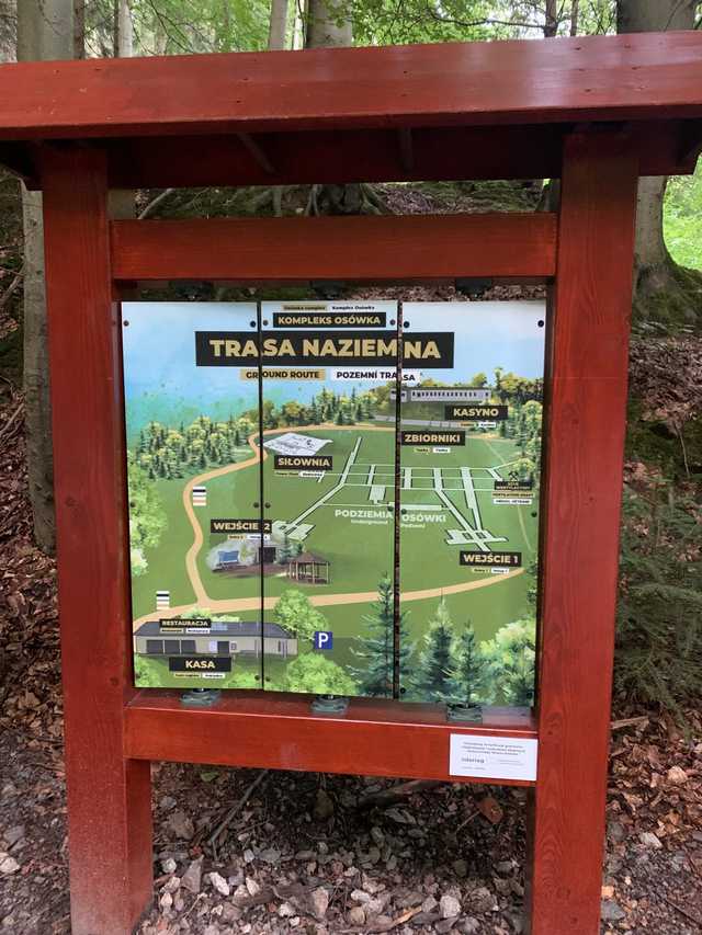 grafika