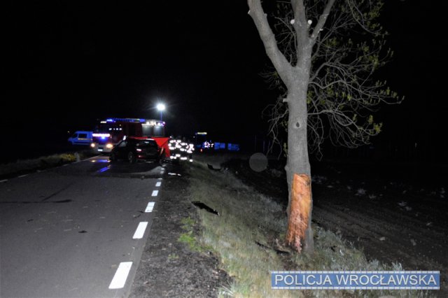 Nietrzeźwy kierowca zjechał z drogi i uderzył w drzewo. Pasażer zginął na miejscu