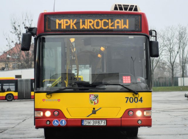 grafika