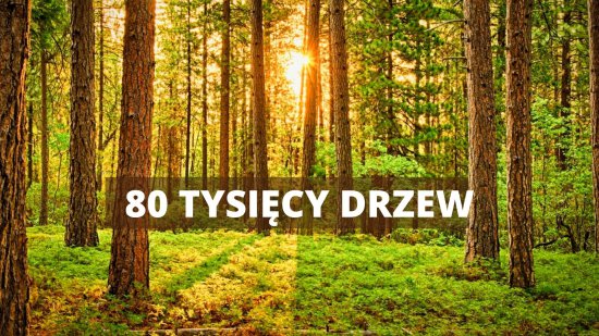 Nowy Wrocław - likwidacja monet o najmniejszych nominałach