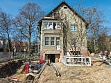 grafika