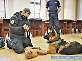 Policjanci wiedzą, jak udzielać pomocy czworonożnym współpatrolowcom