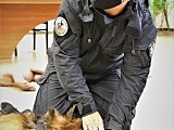 Policjanci wiedzą, jak udzielać pomocy czworonożnym współpatrolowcom