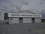 grafika