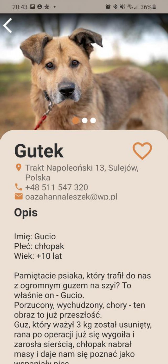 grafika