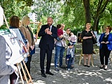 grafika