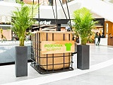 grafika