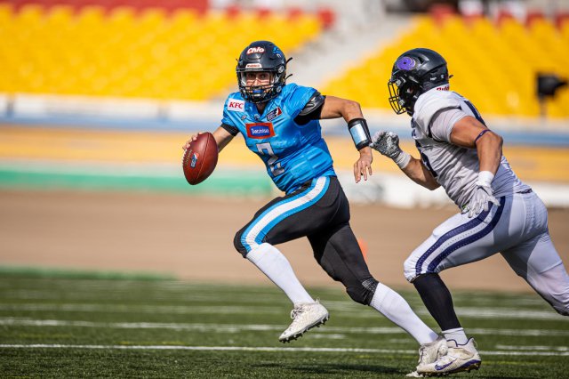 Panthers Wrocław